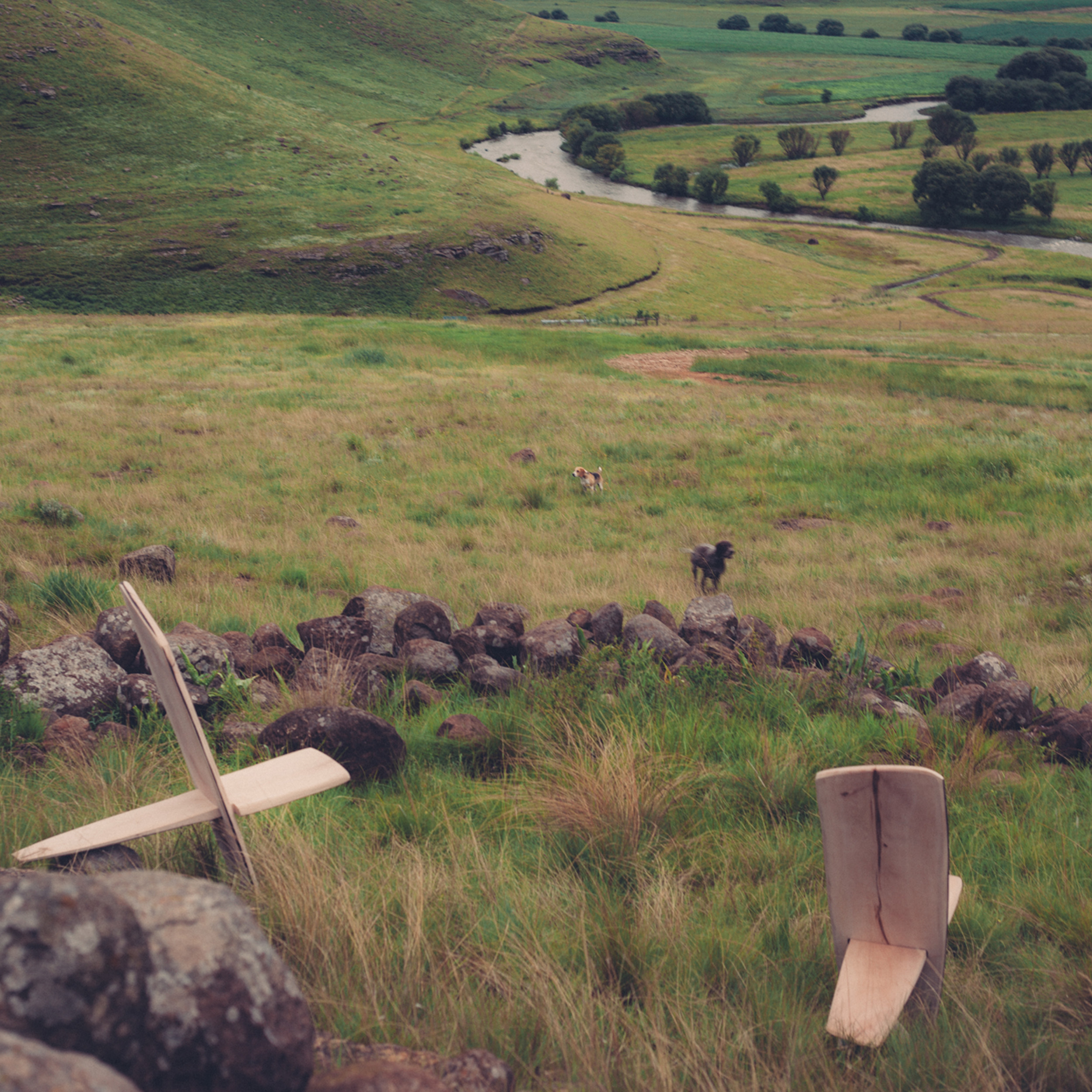 The Tribal Chairs, in London plane and dolerite